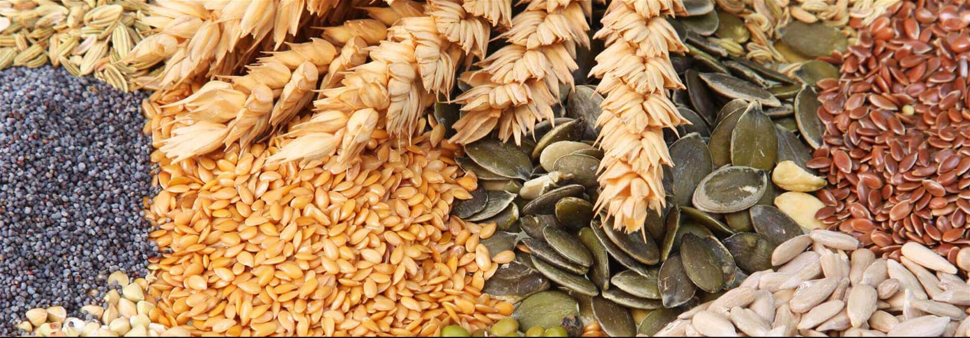 Agro Commodities
